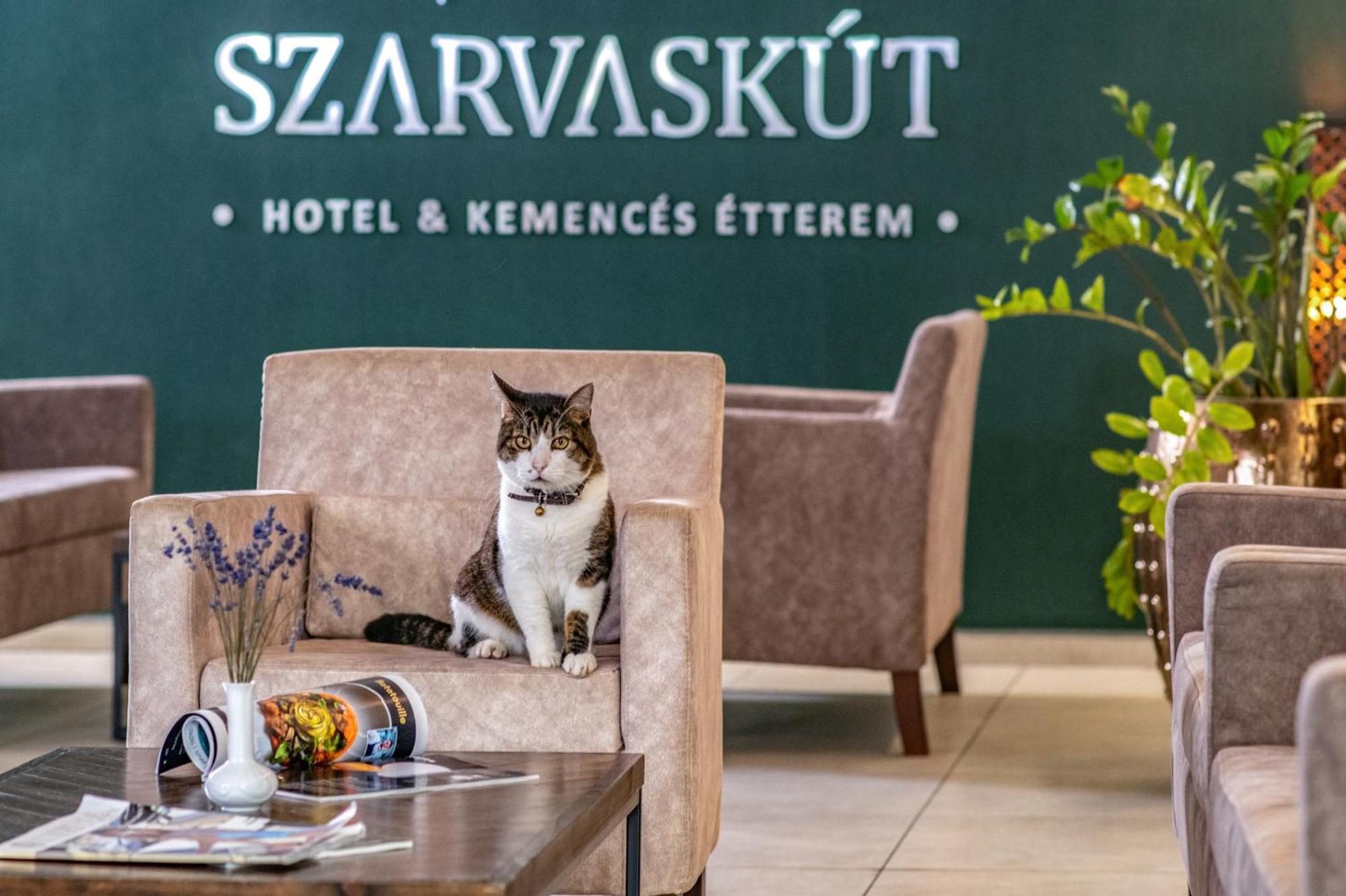 Szarvaskút Hotel Zirc Exterior foto